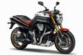 Limited Edition Yamaha MT-01 SP breaks cover