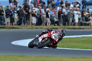 Points scored on world stage for Aussie wildcards
