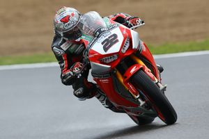 Wallpaper: Jason O'Halloran