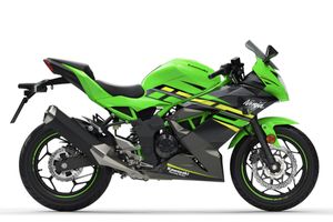 Kawasaki announces 2019 Ninja 125 and Z125 models